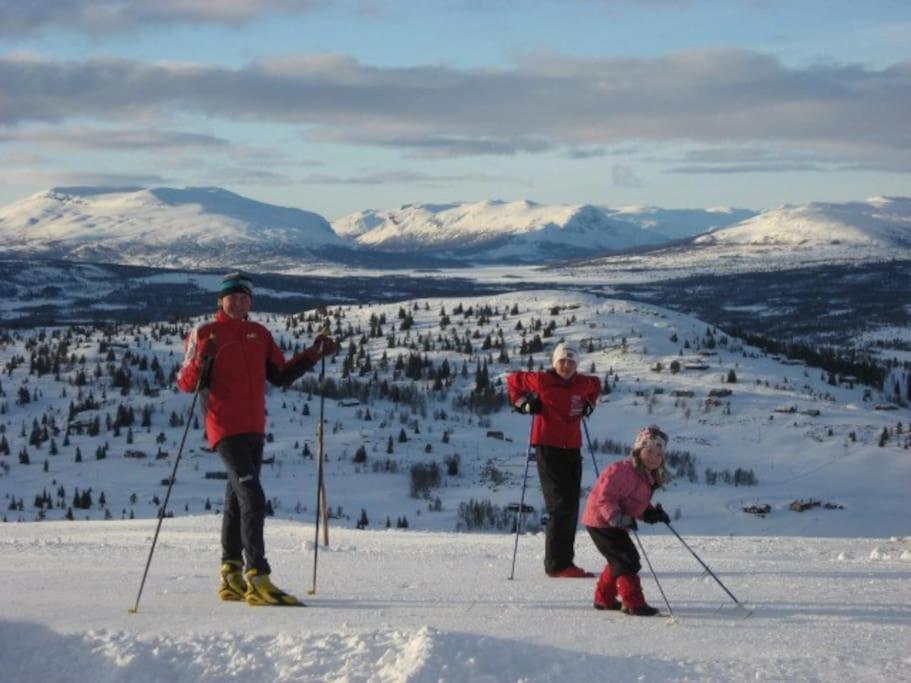 Flott Fritidsleilighet I Bualie Pa Golsfjellet Екстер'єр фото